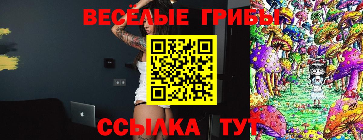 Псилоцибиновые грибы Psilocybine cubensis Югорск